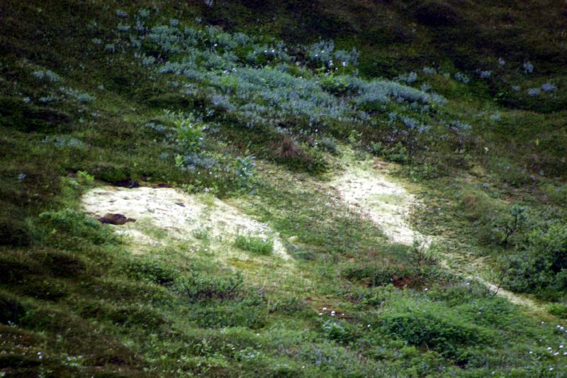 070404 Hope Hatcher Montana Creek (10146)